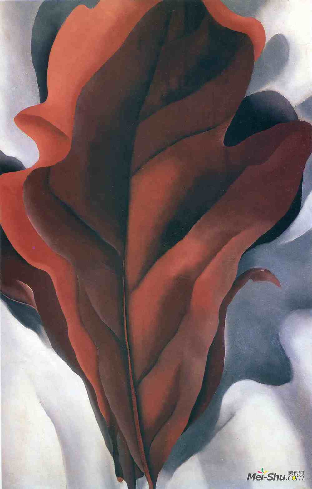 乔治亚·欧姬芙(Georgia O'Keeffe)高清作品《白色大的深红色叶子》