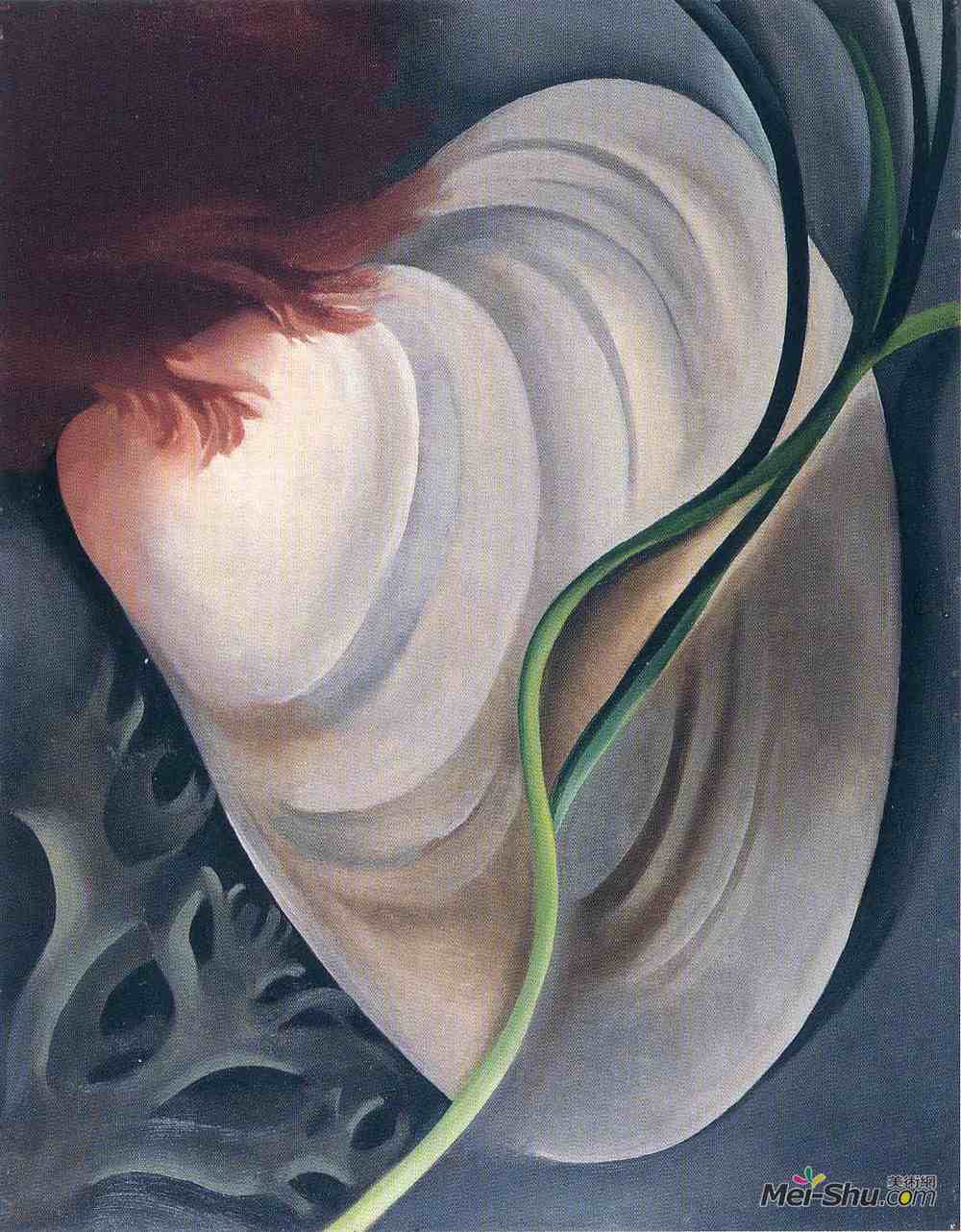 乔治亚·欧姬芙(Georgia O'Keeffe)高清作品《壳牌2号》