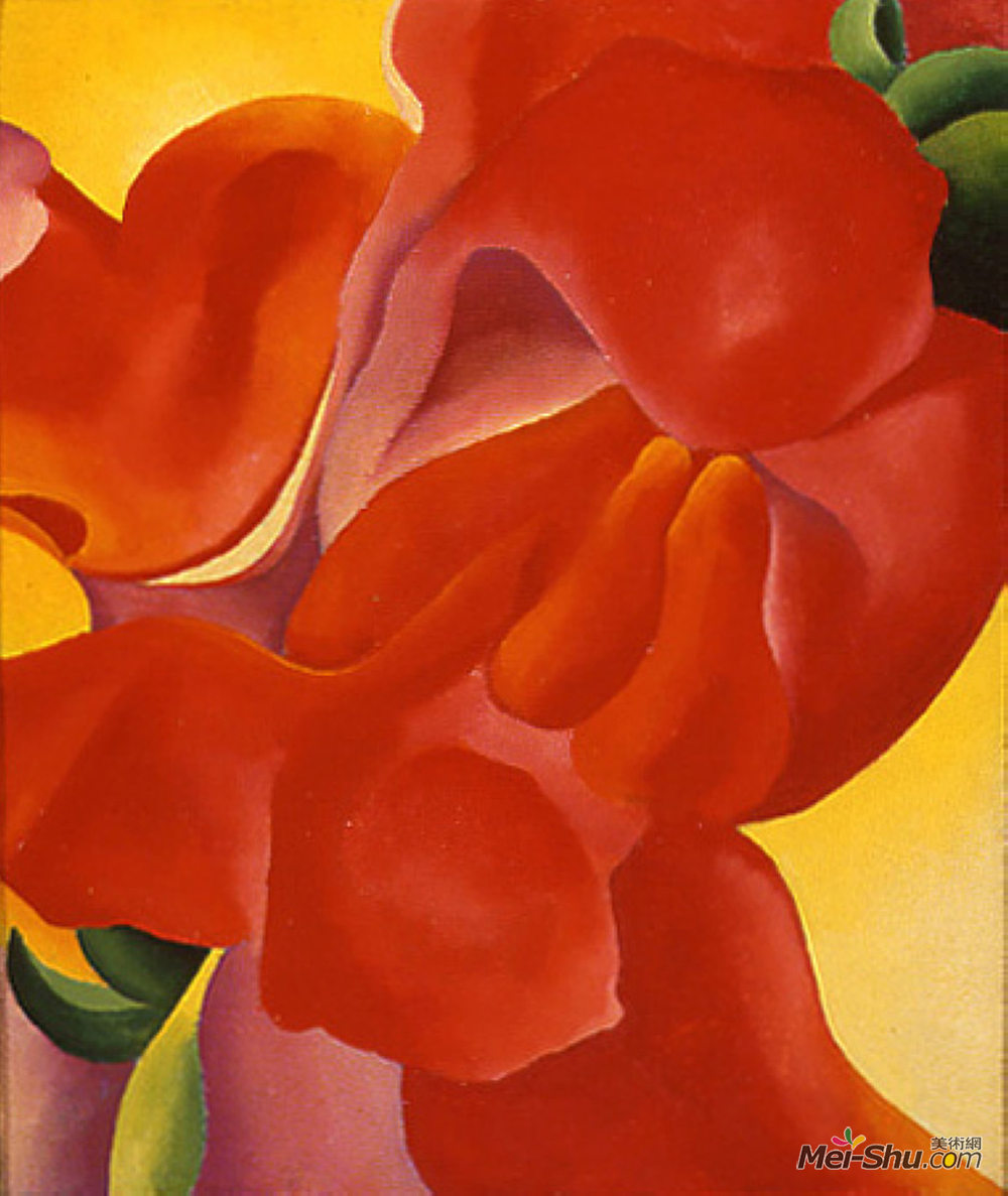 《红色美人蕉》乔治亚·欧姬芙(georgia o&#39keeffe)高清作品欣赏