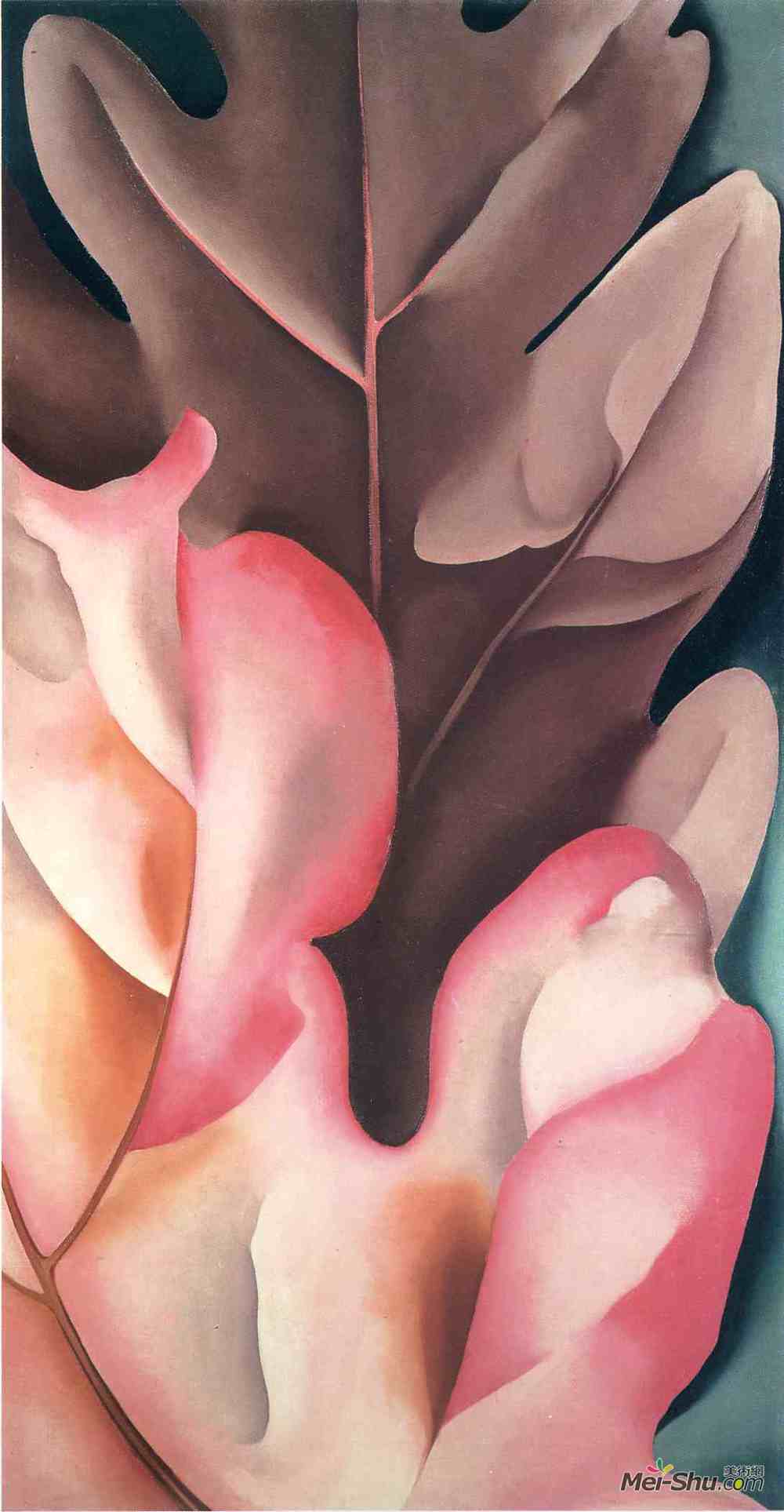 乔治亚·欧姬芙(Georgia O'Keeffe)高清作品《橡树叶子粉色和灰色》