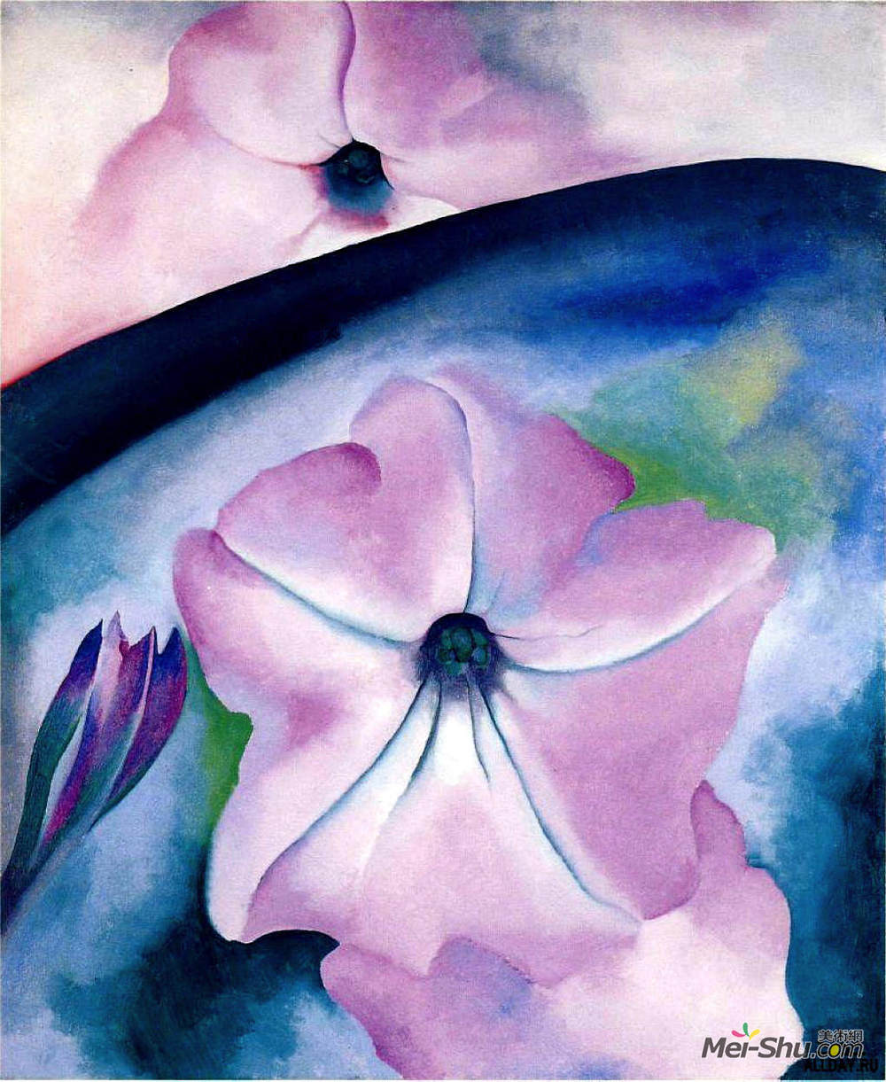 乔治亚·欧姬芙(georgia o"keeffe)高清作品《矮牵牛ii》