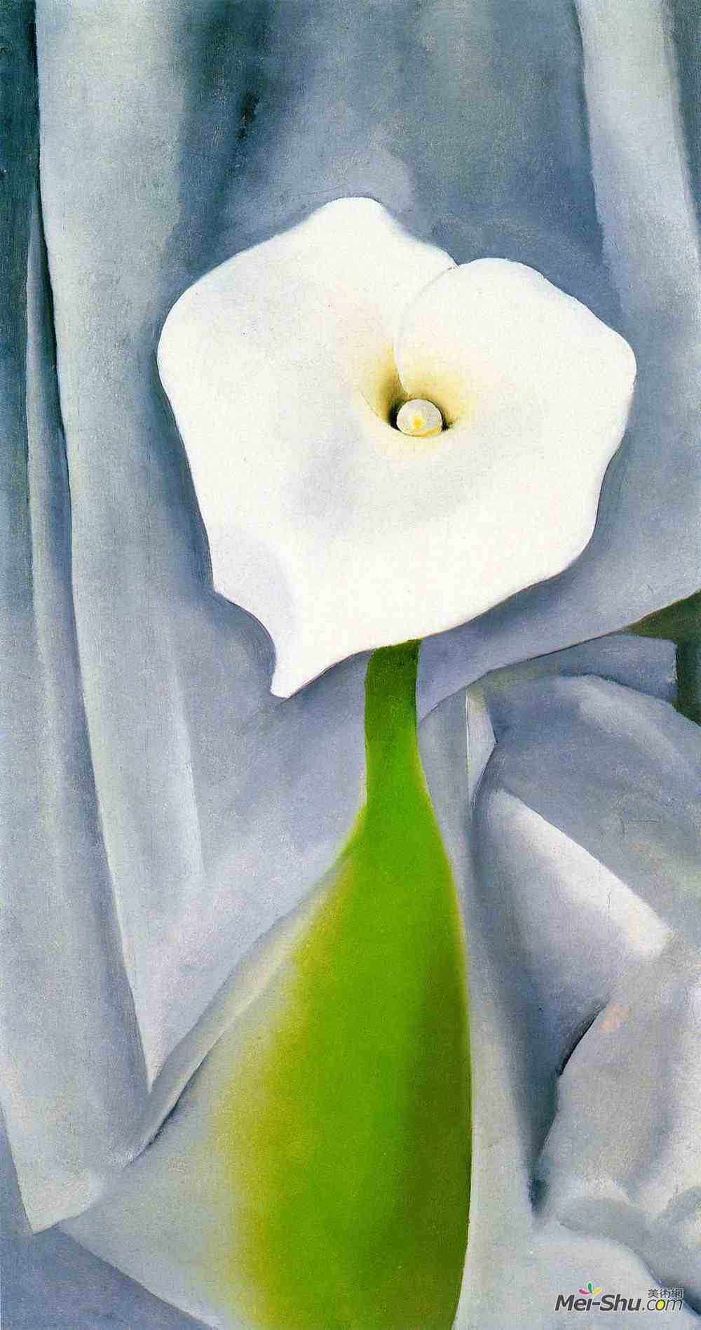 乔治亚·欧姬芙(Georgia O'Keeffe)高清作品《灰色的马蹄莲》