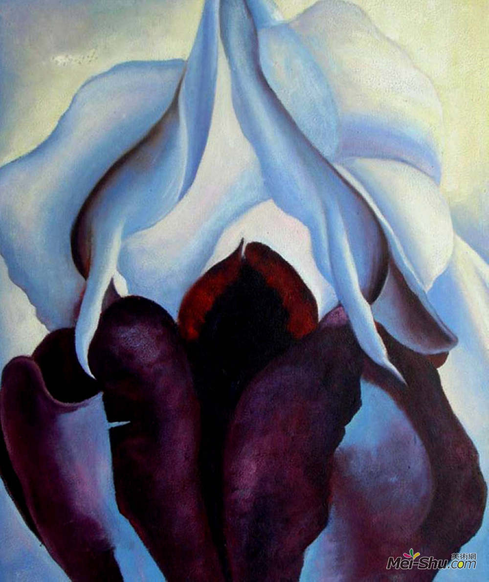 乔治亚·欧姬芙(Georgia O'Keeffe)高清作品《生命之花》
