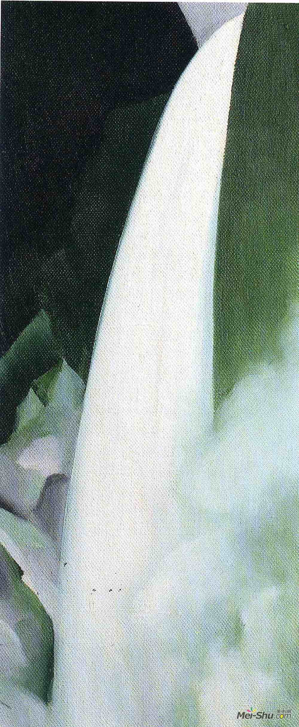 乔治亚·欧姬芙(Georgia O'Keeffe)高清作品《绿色和白色》