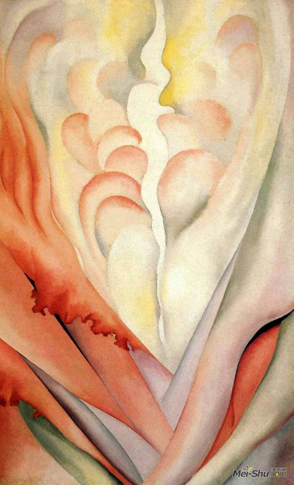 《花卉抽象》乔治亚·欧姬芙(georgia o&amp#39keeffe)高清作品