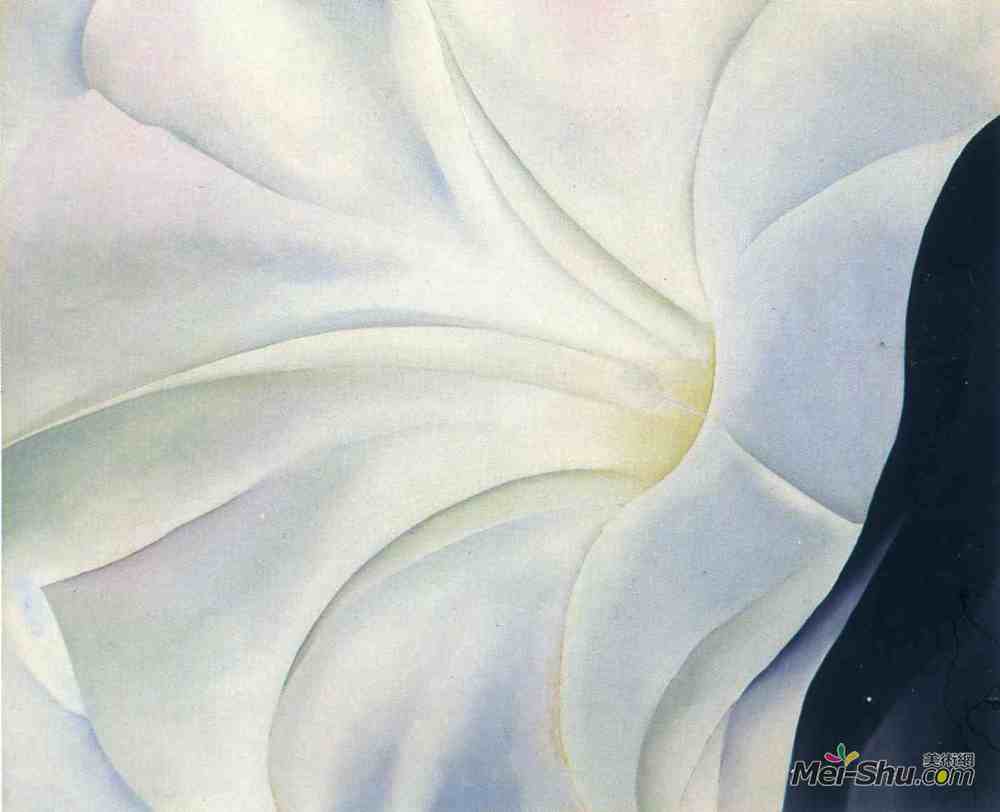 乔治亚·欧姬芙(Georgia O'Keeffe)高清作品《布莱克的牵牛花》