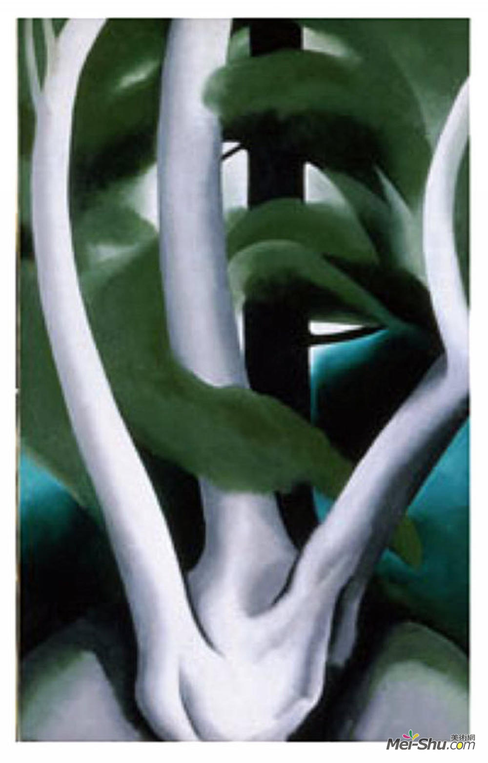 乔治亚·欧姬芙(Georgia O'Keeffe)高清作品《桦树和松树1号》