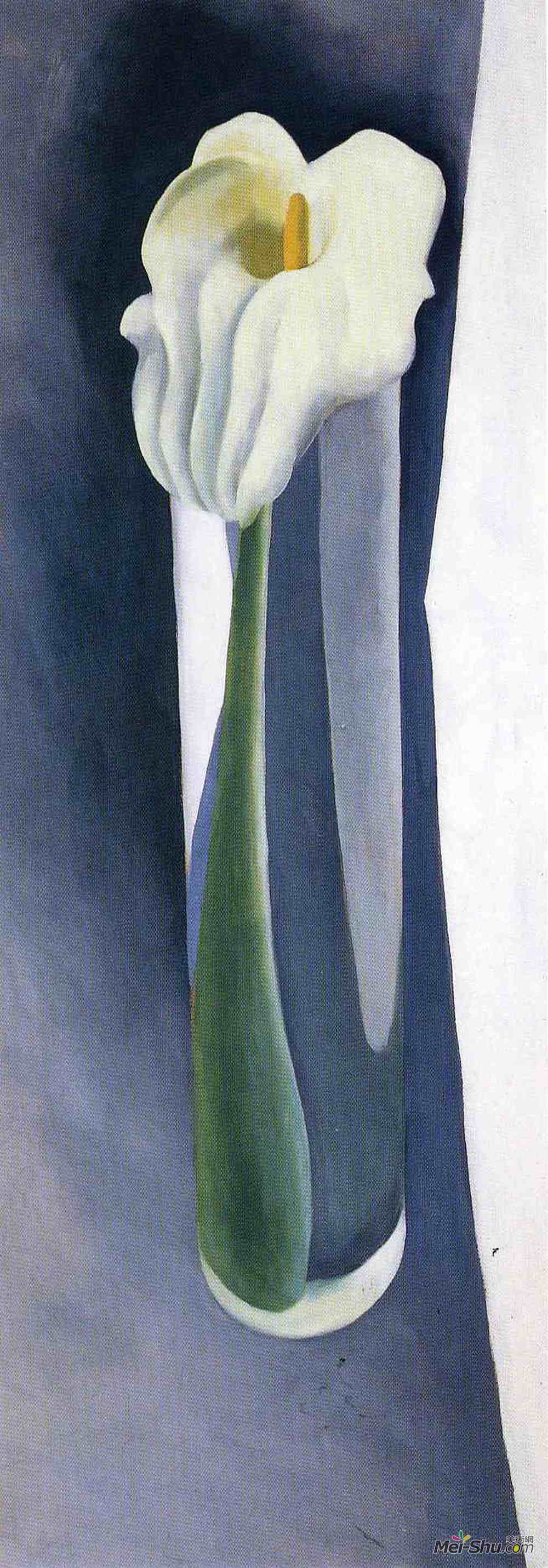 乔治亚·欧姬芙(Georgia O'Keeffe)高清作品《高大玻璃中的马蹄莲》