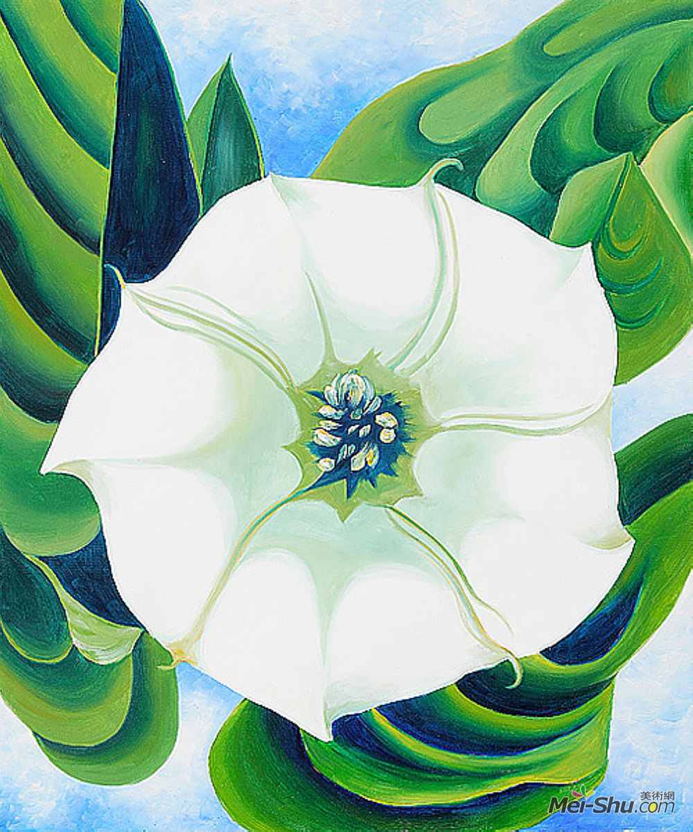 乔治亚·欧姬芙(Georgia O'Keeffe)高清作品《吉姆逊杂草》