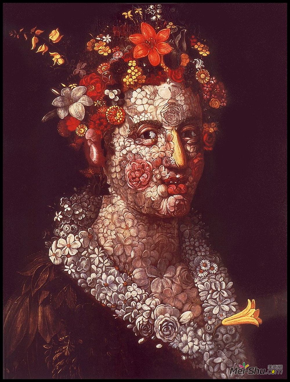 朱塞佩·阿沁波尔多(Giuseppe Arcimboldo)高清作品《植物区系》