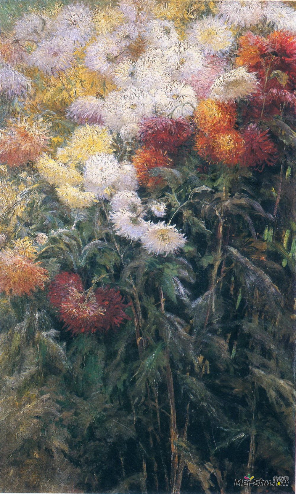 gustave caillebotte古斯塔夫·卡里伯特油画2188《菊花丛生的花园》
