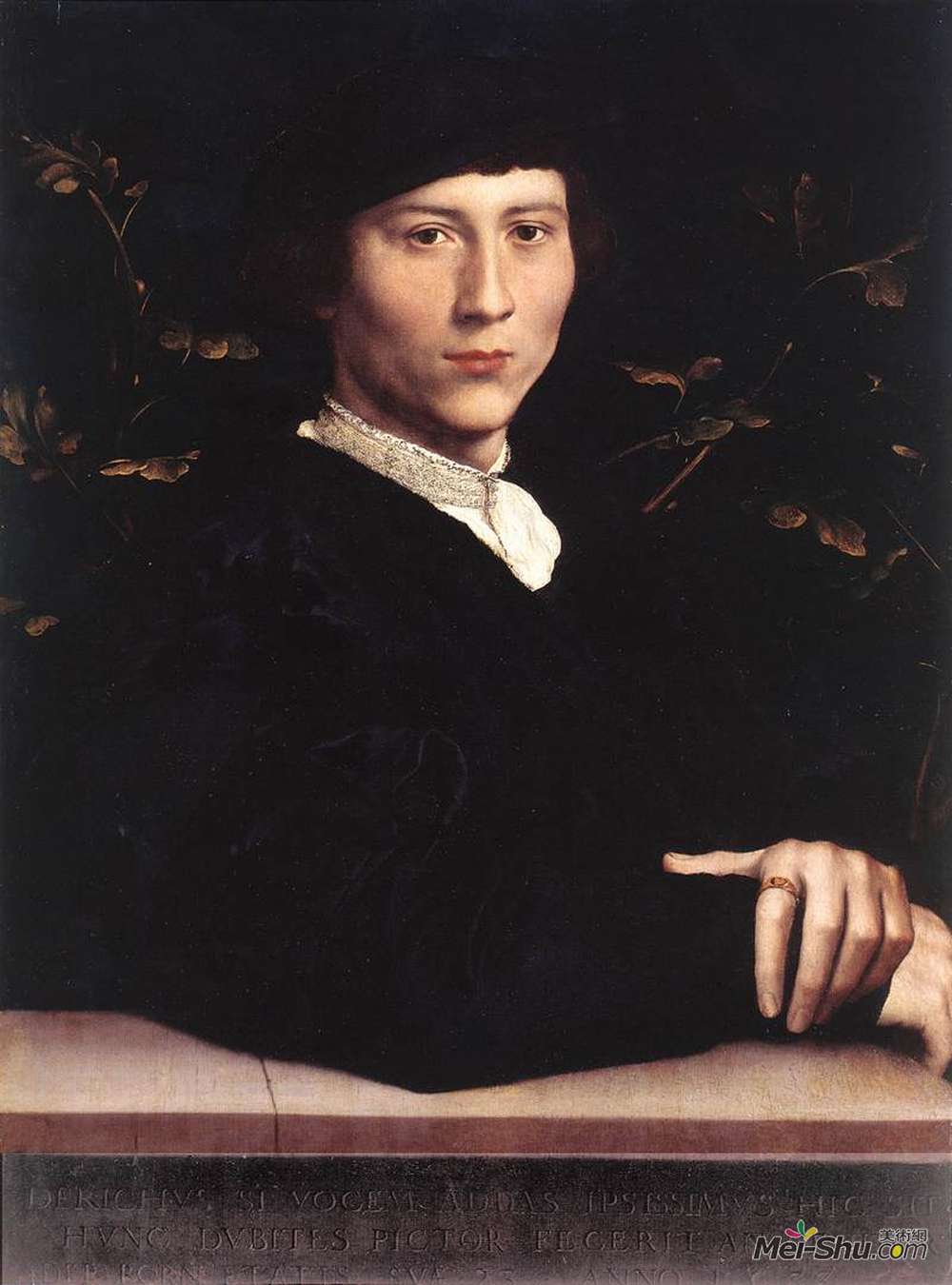 汉斯·荷尔拜因(Hans Holbein the Younger)高清作品《德里奇出生的肖像》