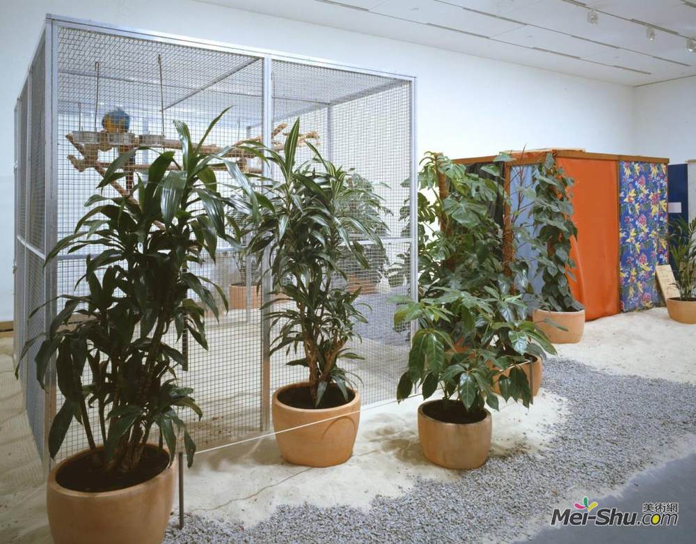 欧伊提席卡(Helio Oiticica)高清作品《Tropic&ália, Penetrables PN 2 'Purity is a m》