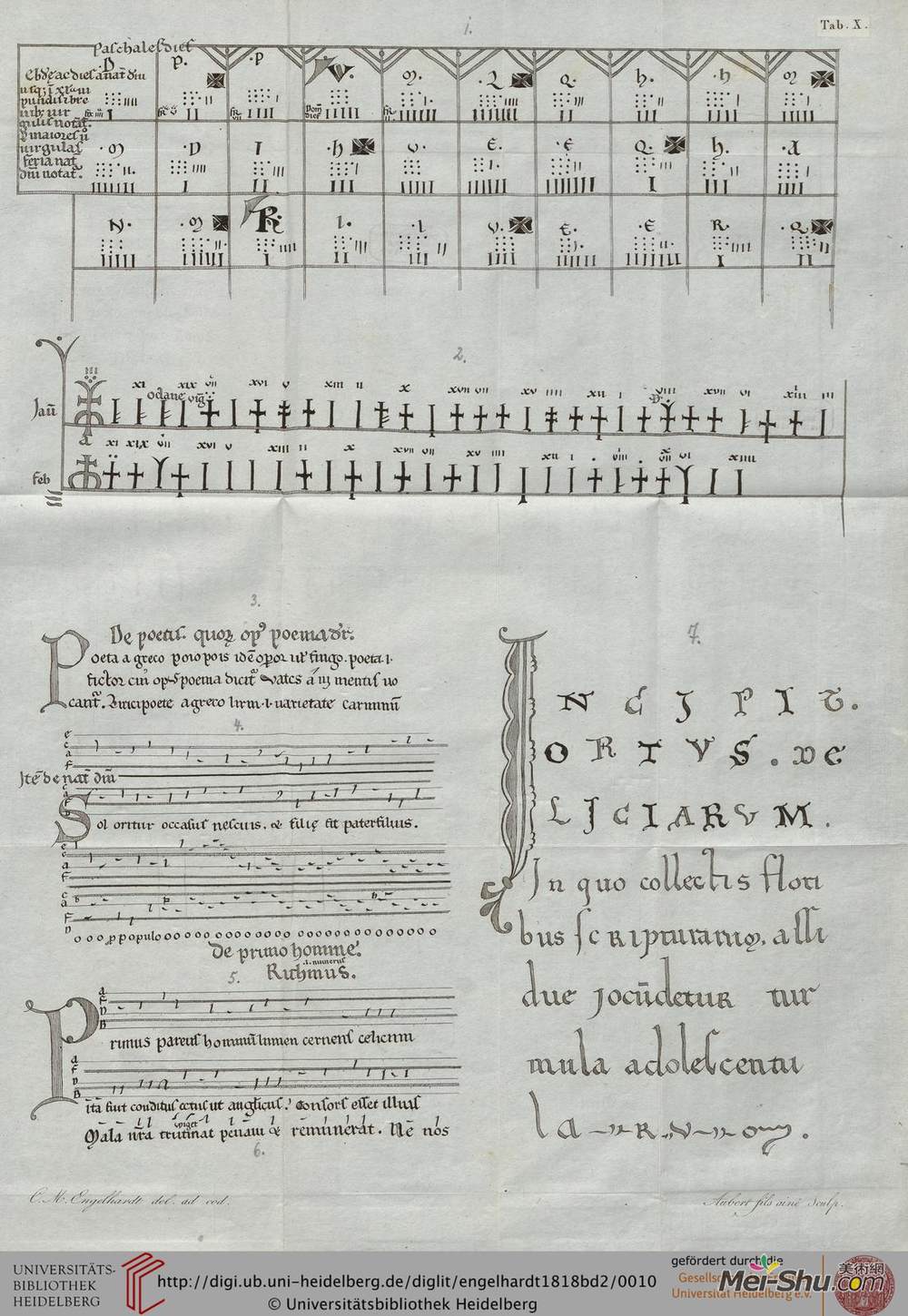 兰茨贝格赫拉德(Herrad of Landsberg)高清作品《桔梗》