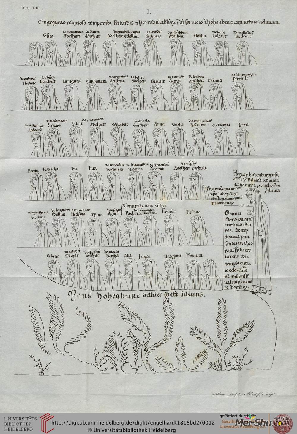 兰茨贝格赫拉德(Herrad of Landsberg)高清作品《桔梗》