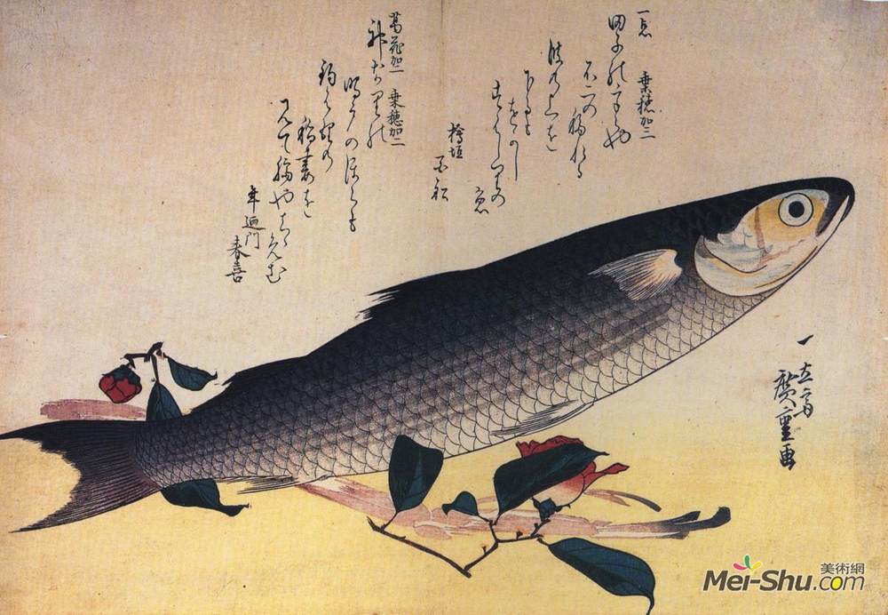 歌川广重(Hiroshige)高清作品《Grey mullet and camellia》