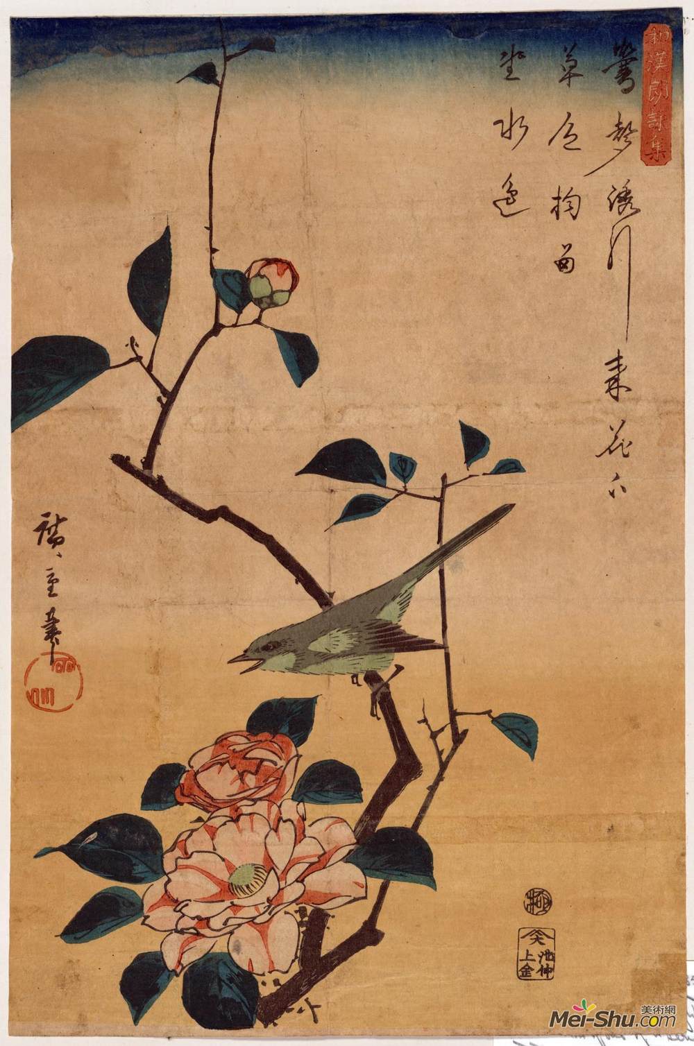 歌川广重(Hiroshige)高清作品《山茶花和布什莺》