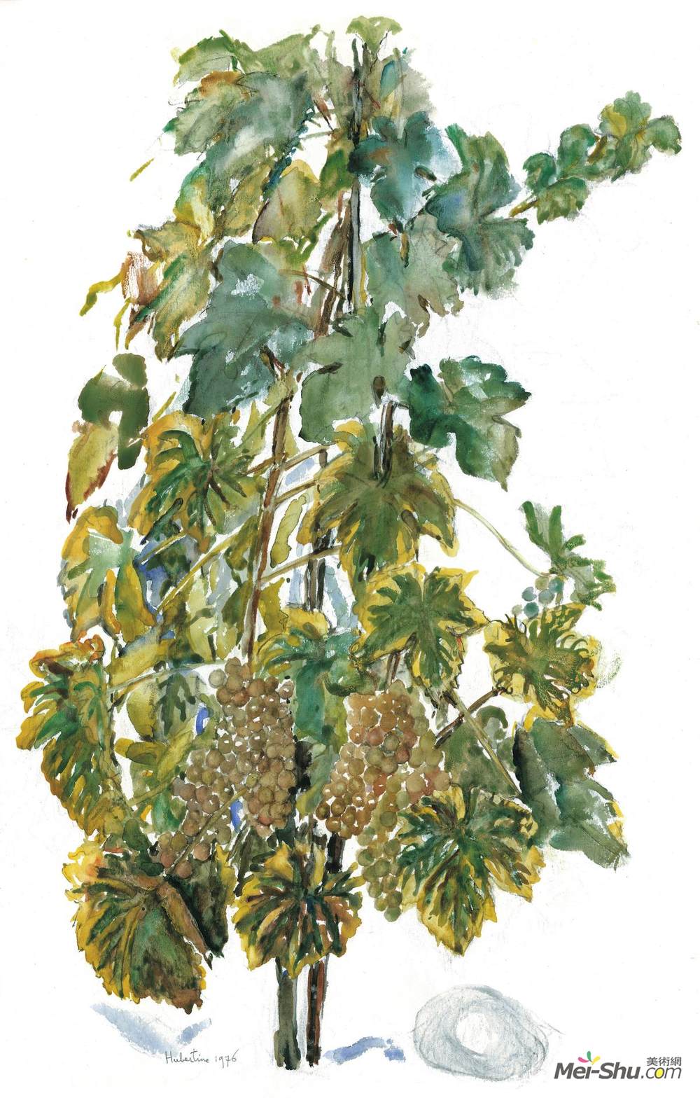 胡伯廷海耶曼(Hubertine Heijermans)高清作品《Vine-stock in Autumn, watercolor of vegetation in Switzerlan》