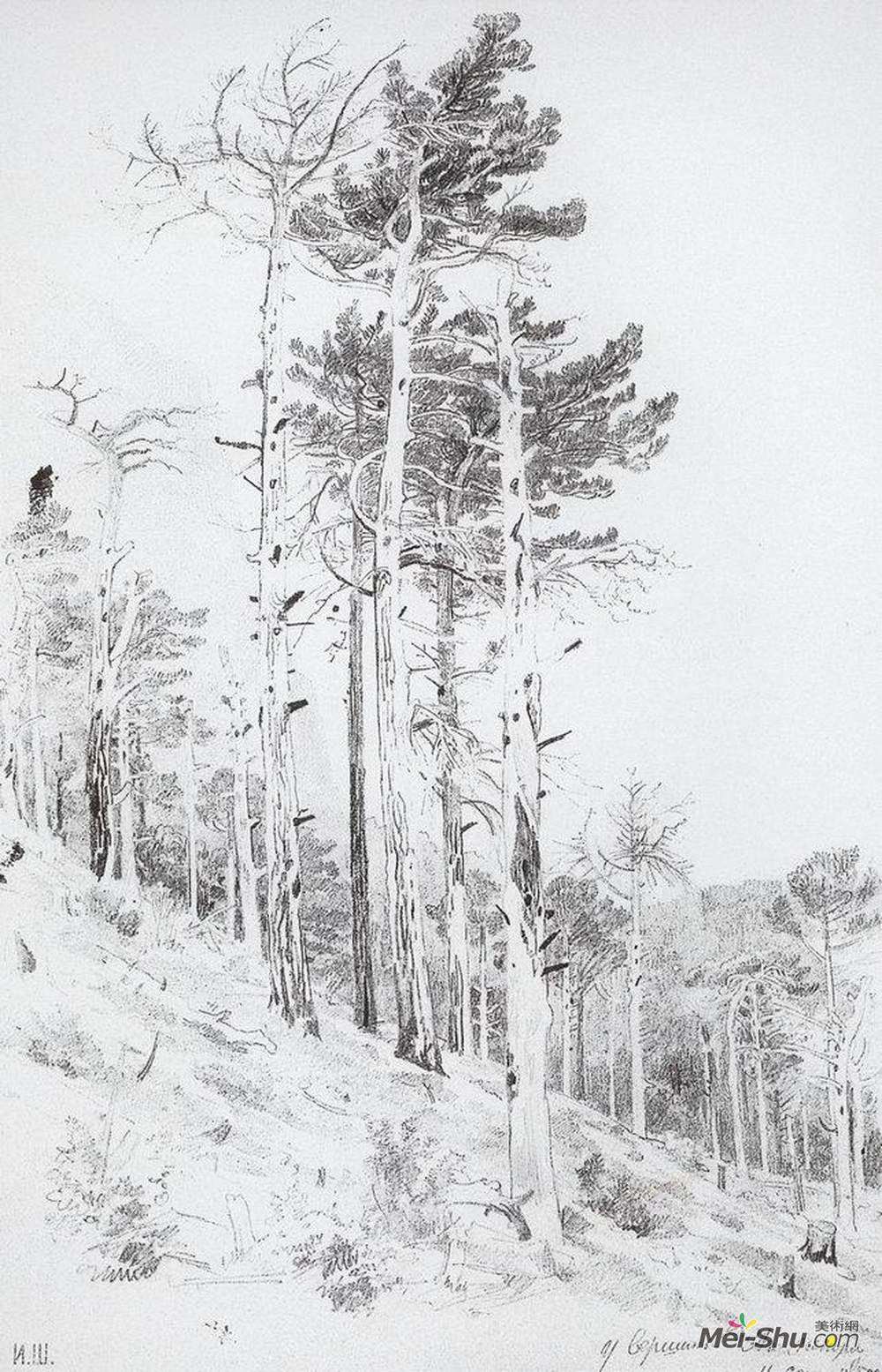 伊万·希什金(Ivan Shishkin)高清作品《At the top of the Ai-Petri》