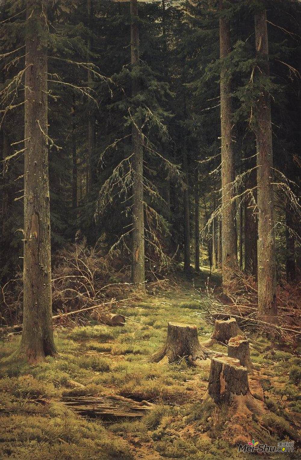 伊万·希什金(Ivan Shishkin)高清作品《针叶林》