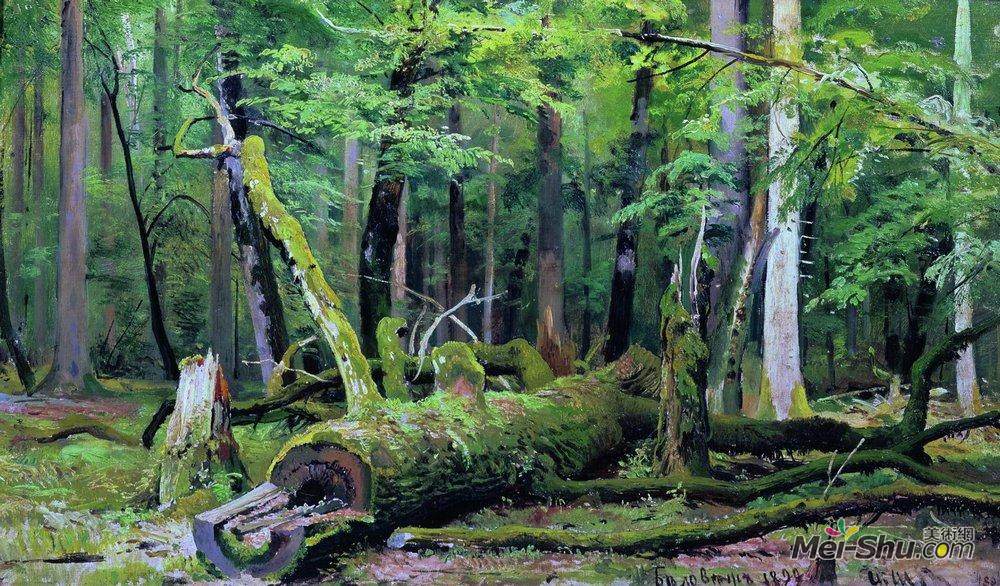 伊万·希什金(Ivan Shishkin)高清作品《Cut down oak in the Bialowiezka Forest》