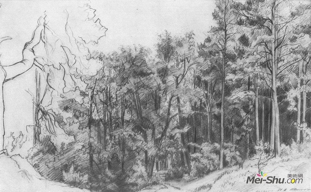 伊万·希什金(Ivan Shishkin)高清作品《落叶林》