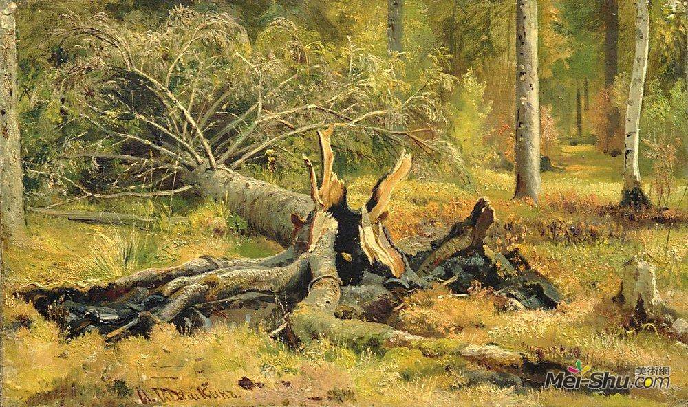 伊万·希什金(Ivan Shishkin)高清作品《Fallen tree. Siverskaya》