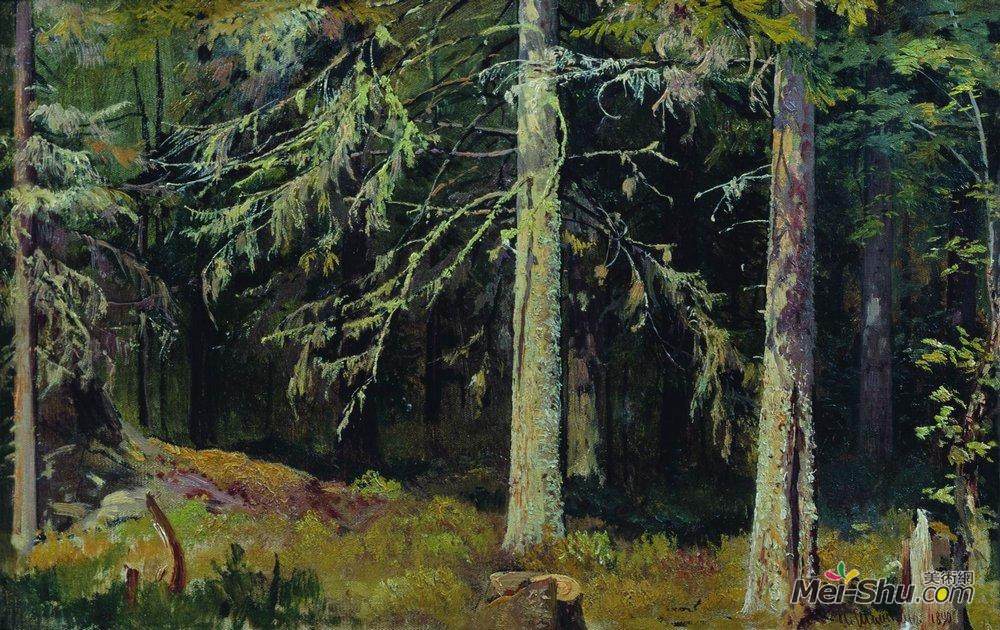 伊万·希什金(Ivan Shishkin)高清作品《冷杉林》