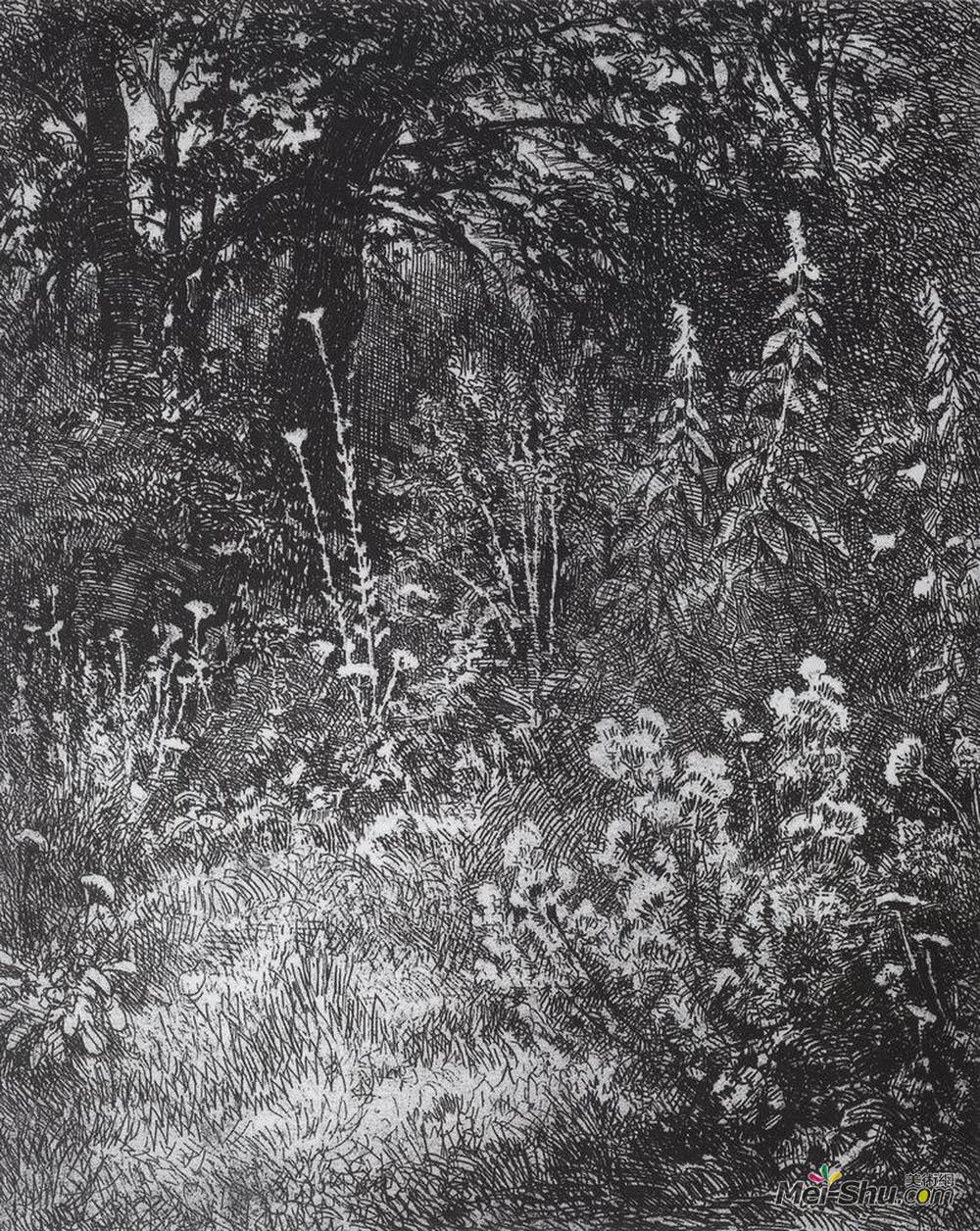 伊万·希什金(Ivan Shishkin)高清作品《森林花》