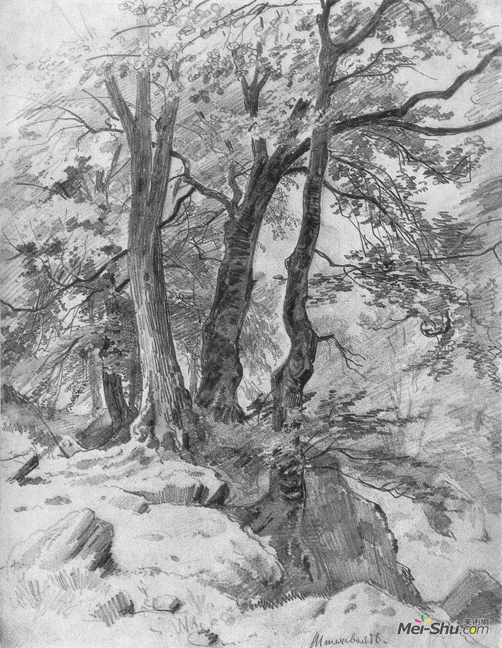 伊万·希什金(Ivan Shishkin)高清作品《在森林里》