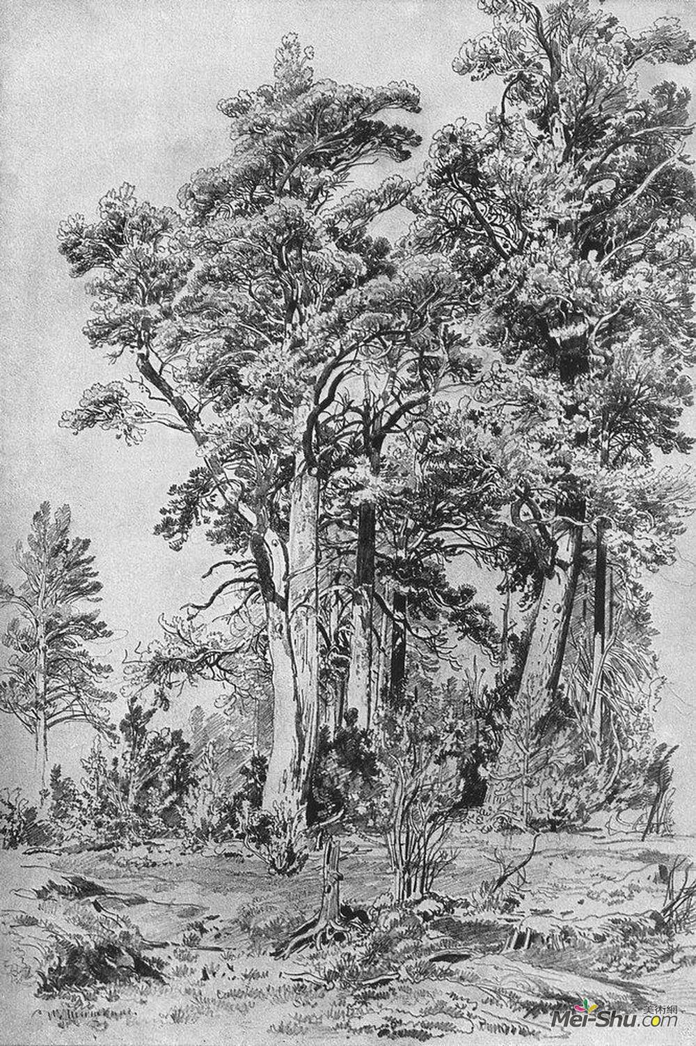伊万·希什金(Ivan Shishkin)高清作品《在森林里》