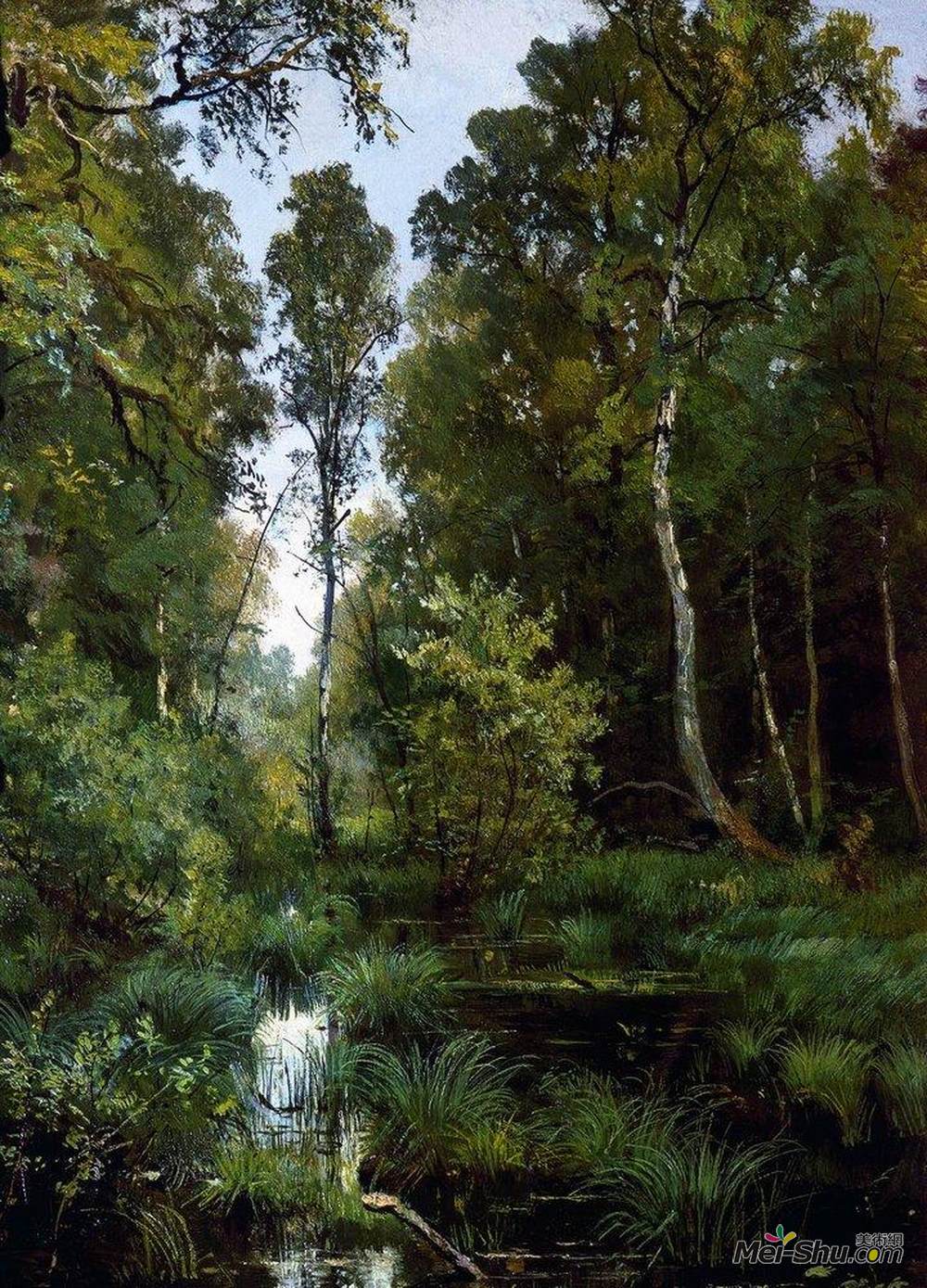 伊万·希什金(Ivan Shishkin)高清作品《森林边缘的一个过度生长的池塘。西维斯卡亚》