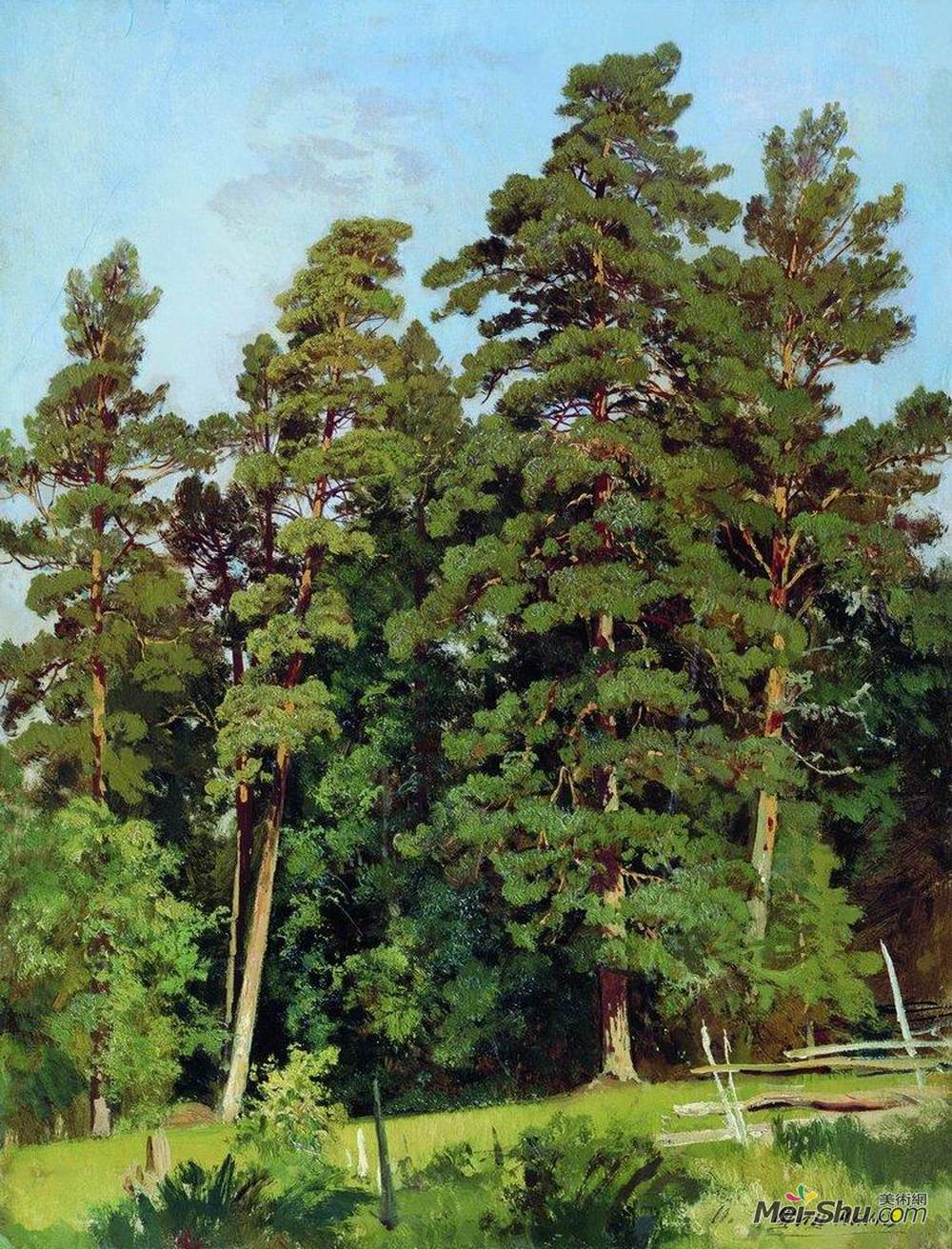 伊万·希什金(Ivan Shishkin)高清作品《松林》