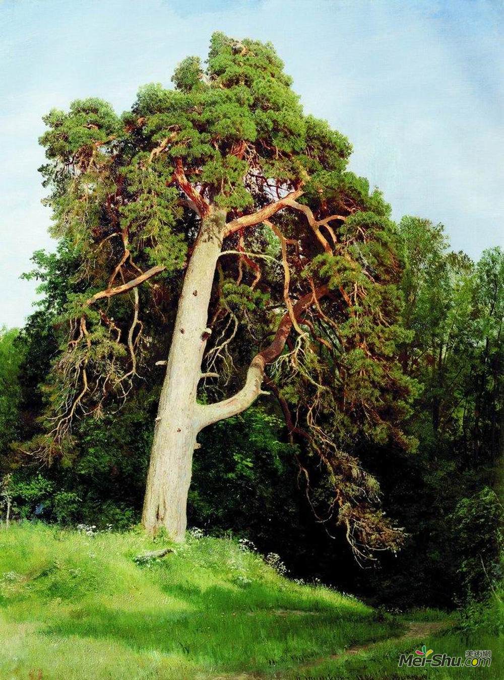 伊万·希什金(Ivan Shishkin)高清作品《松树。梅里库尔》