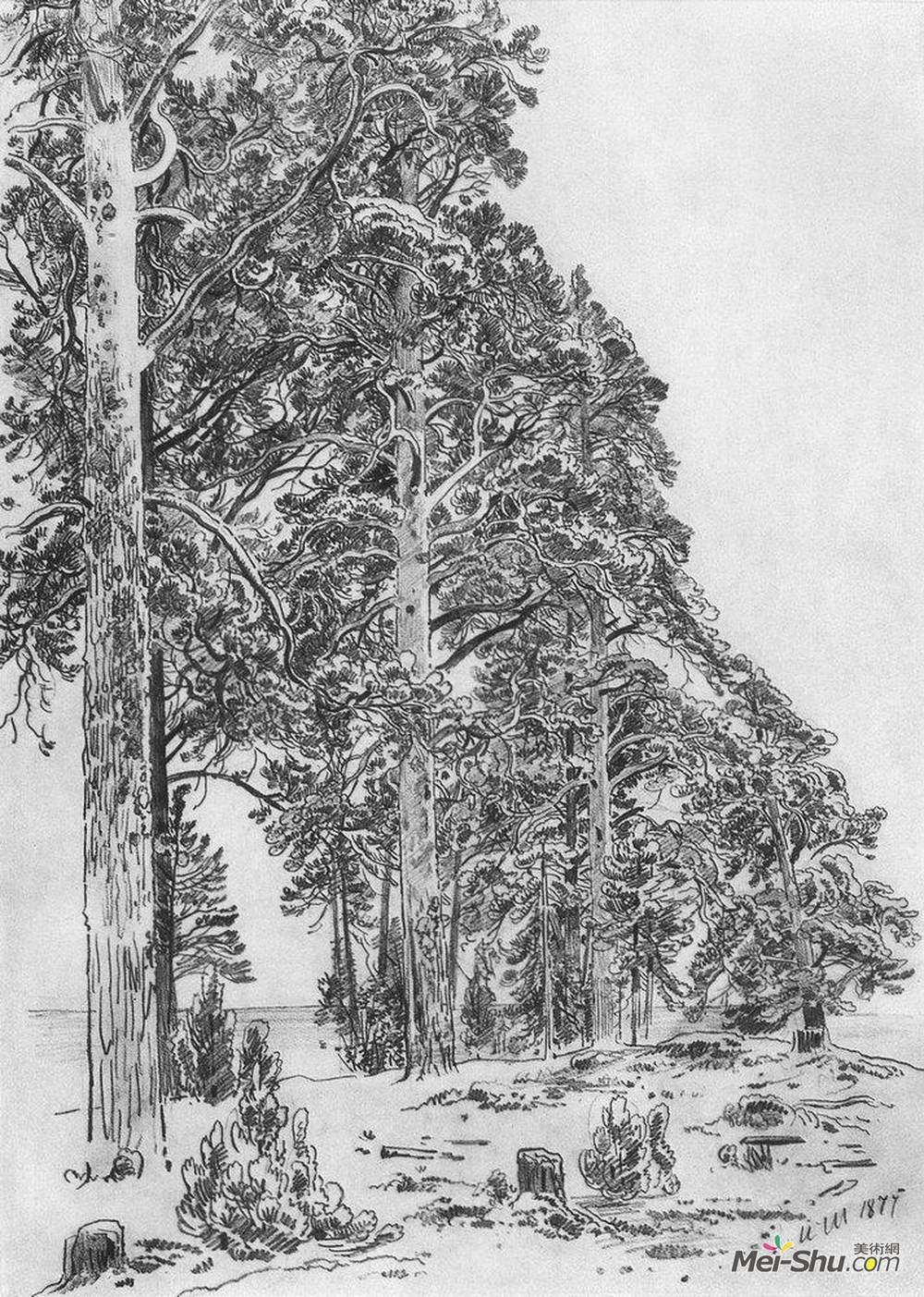 伊万·希什金(Ivan Shishkin)高清作品《海滩上的松树》