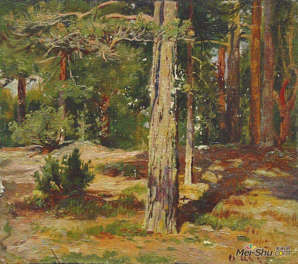 伊万·希什金(Ivan Shishkin)高清作品《松树。夏日景观》