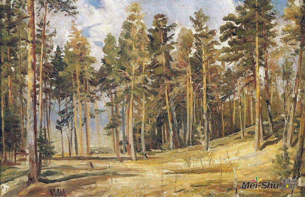 伊万·希什金(Ivan Shishkin)高清作品《松树。阳光明媚的一天》