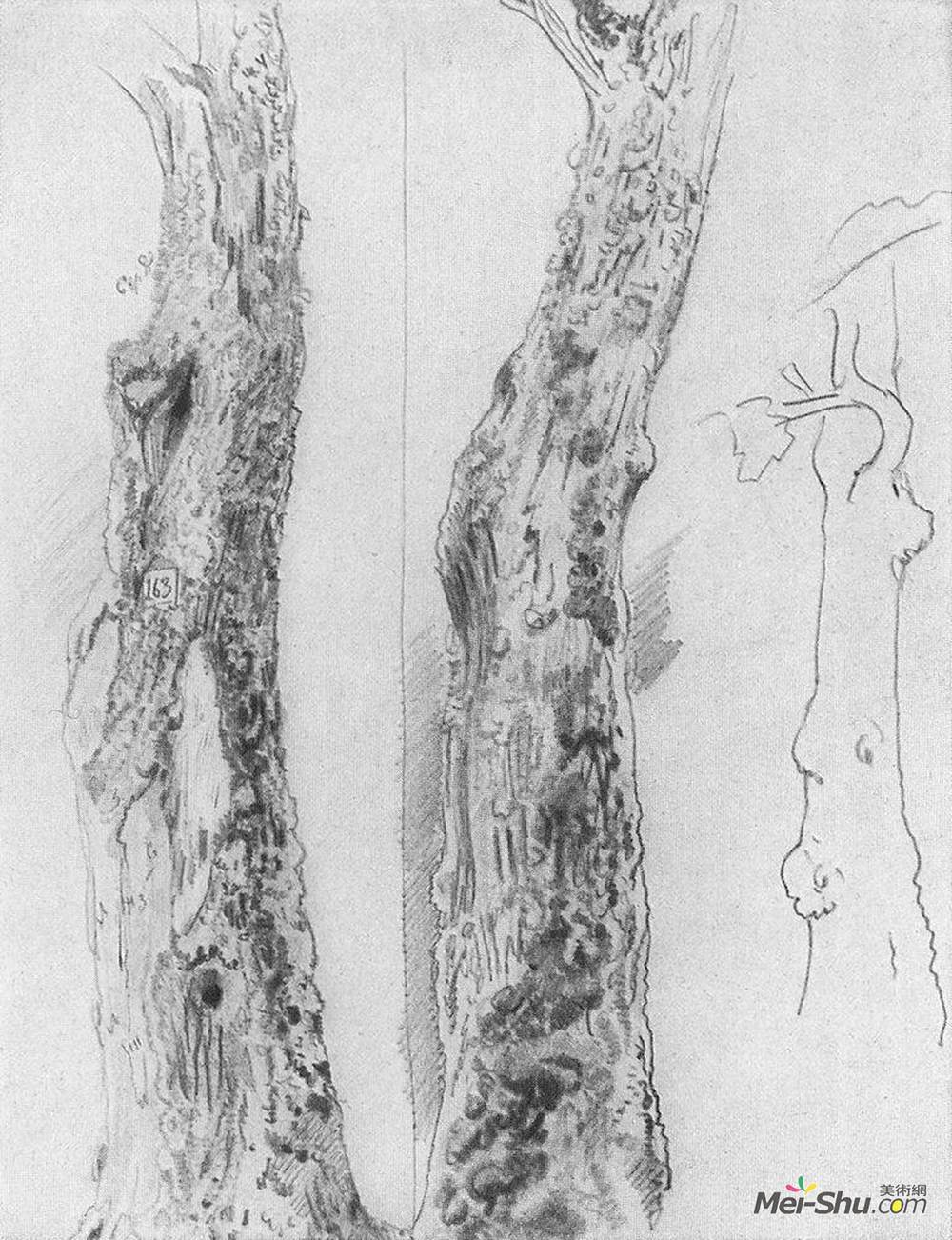 《树干研究》伊万·希什金(ivan shishkin)高清作品欣赏