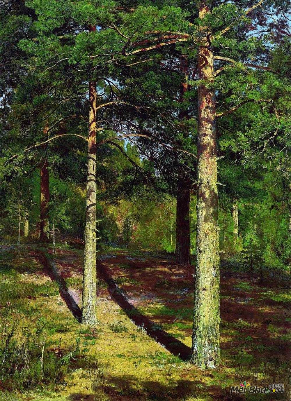 伊万·希什金(Ivan Shishkin)高清作品《阳光照耀的松树》