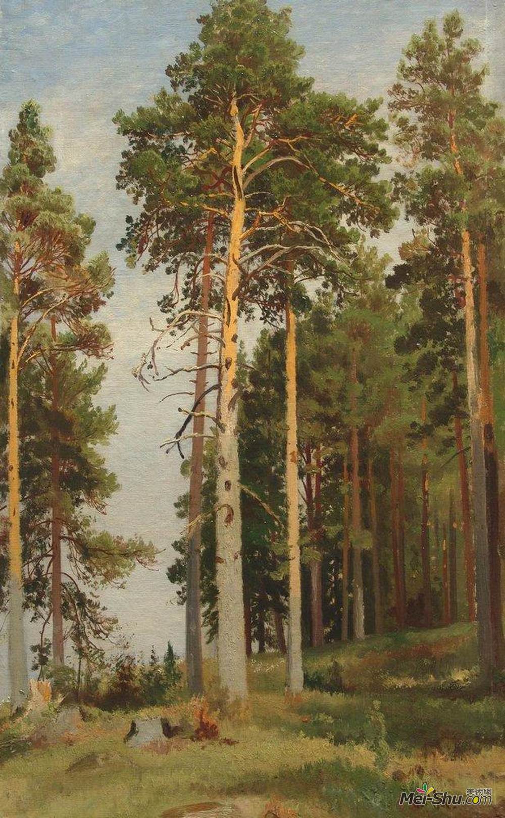 伊万·希什金(Ivan Shishkin)高清作品《阳光照耀的松树》