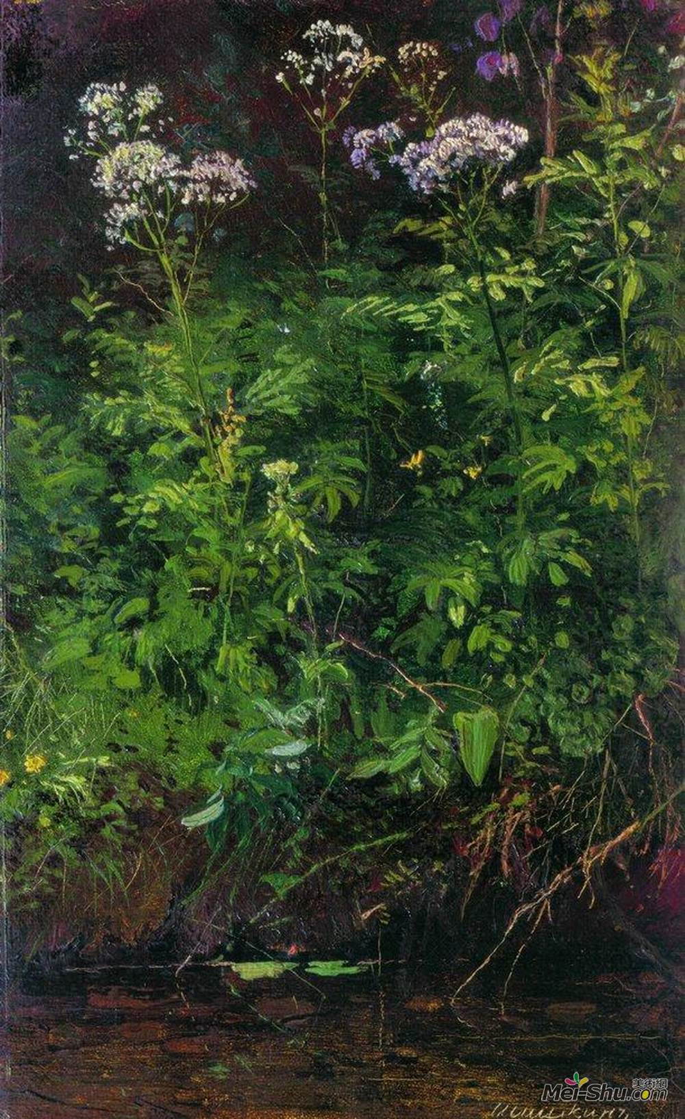 伊万·希什金(Ivan Shishkin)高清作品《靠近水边的野花》
