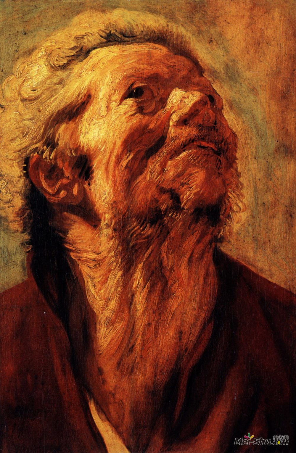 雅各布布·乔登斯(Jacob Jordaens)高清作品《研究亚伯拉罕·格拉菲斯的头》