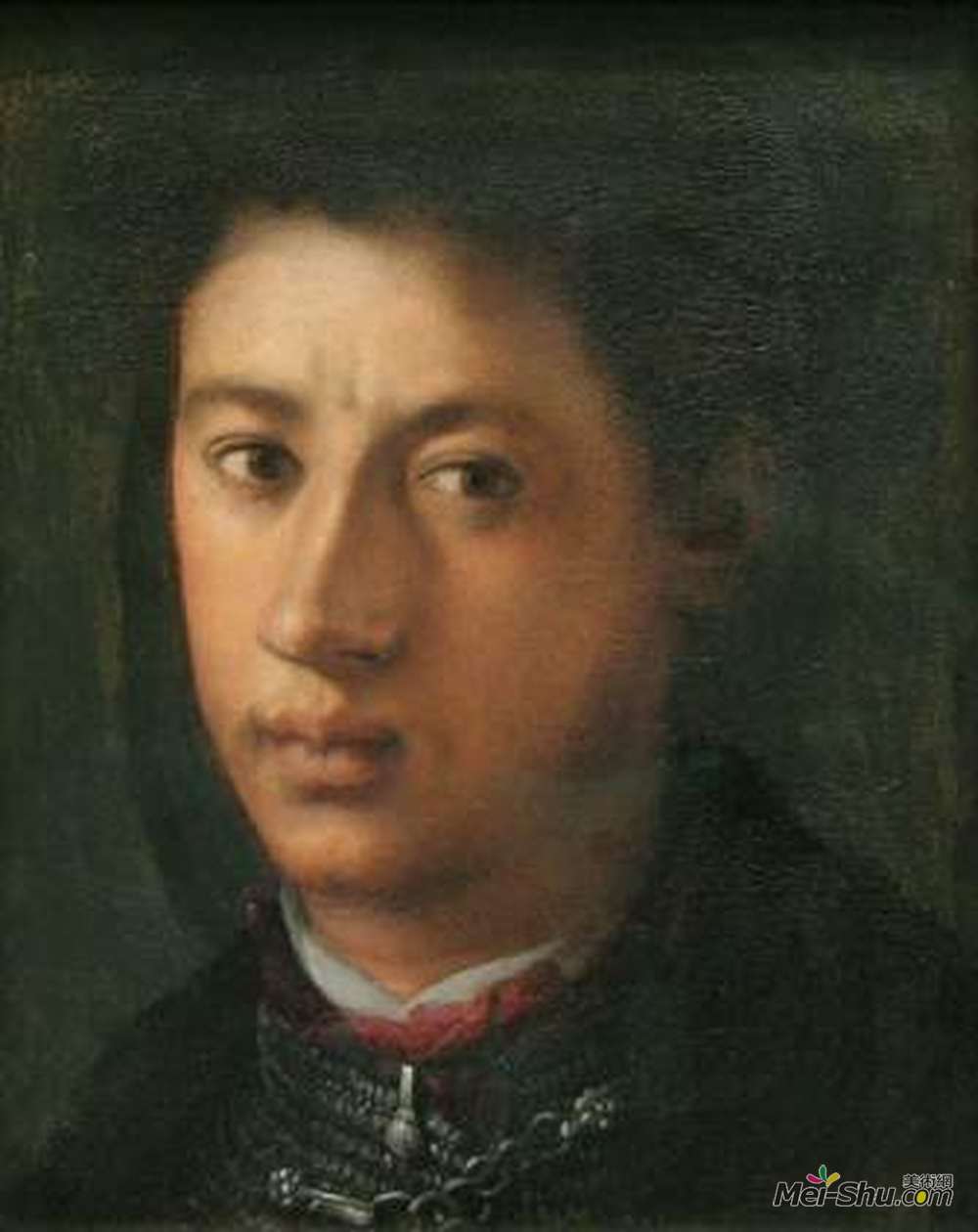 雅各布布·达·蓬托尔莫(Jacopo Pontormo)高清作品《Alessandro de' Medici》