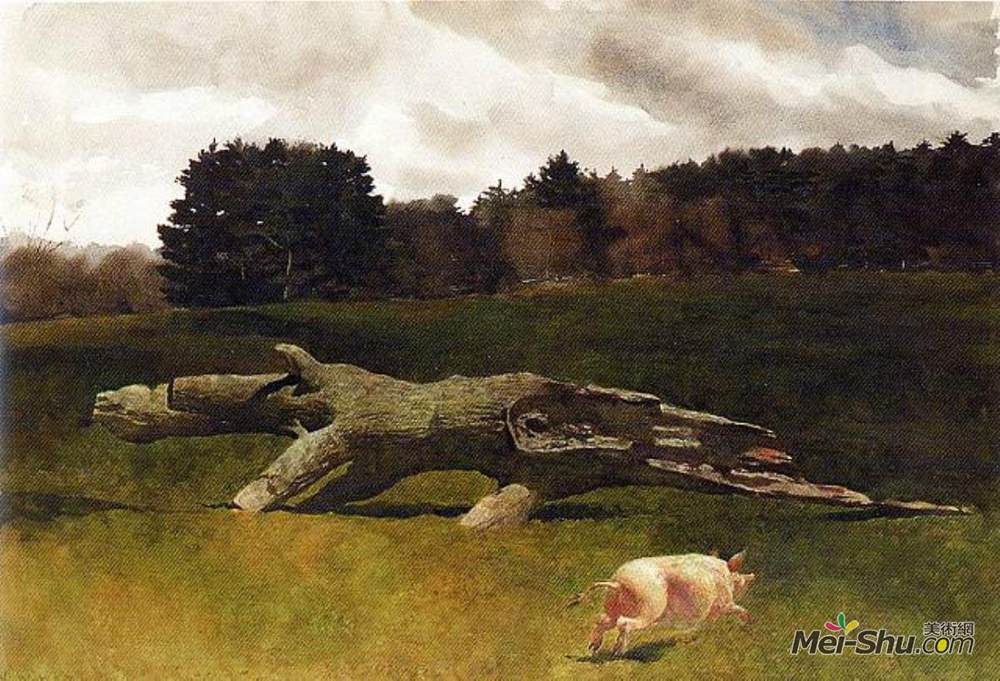 杰米·韦思(Jamie Wyeth)高清作品《失控的猪》
