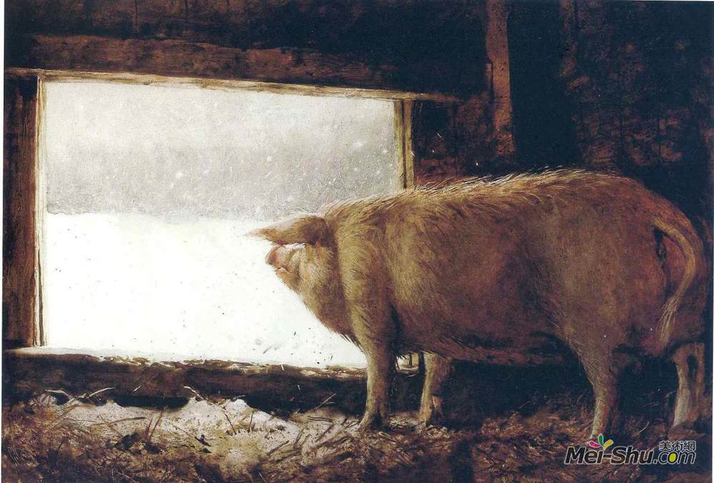 杰米·韦思(Jamie Wyeth)高清作品《冬猪》