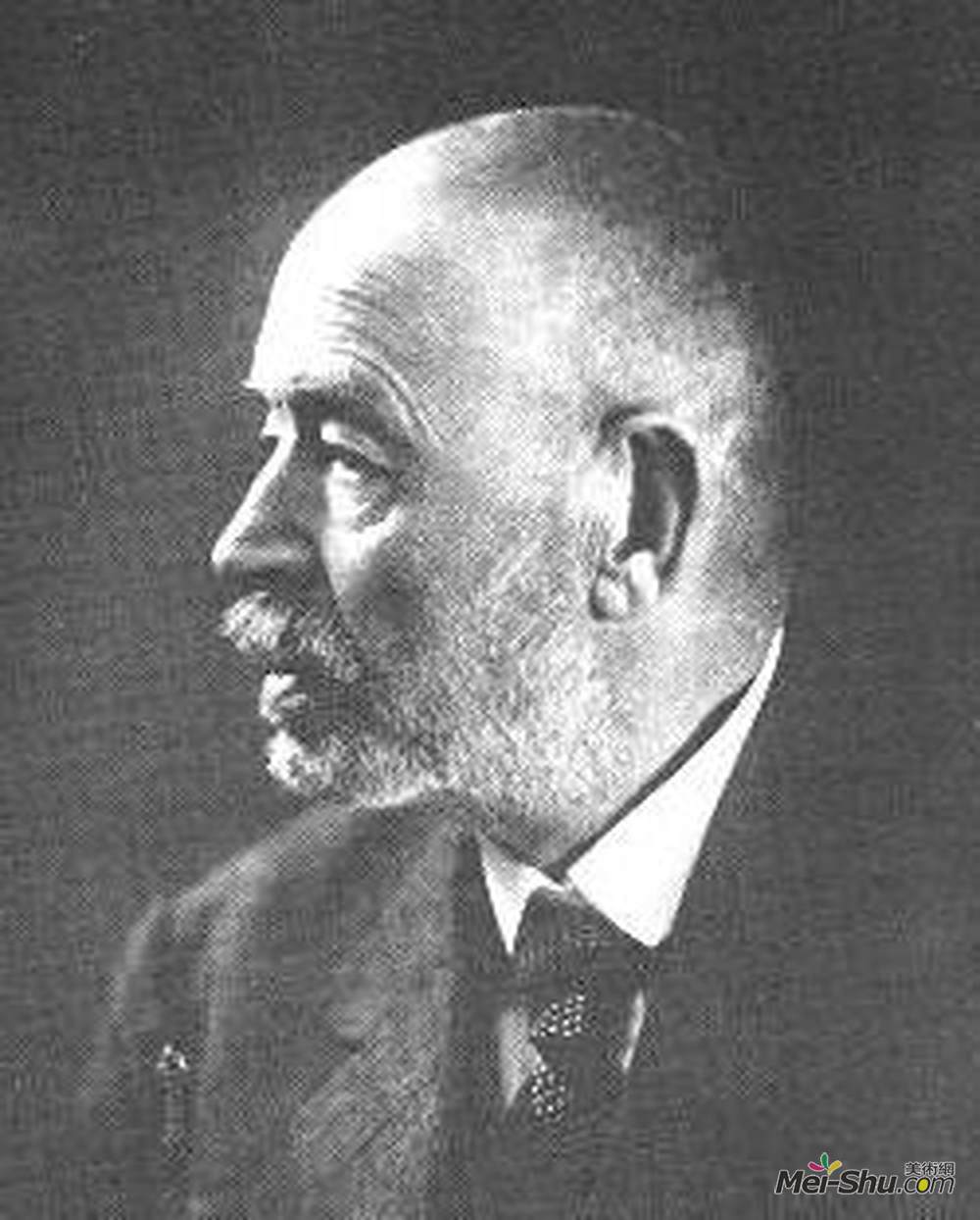 詹诺斯托尼耶(Janos Tornyai)