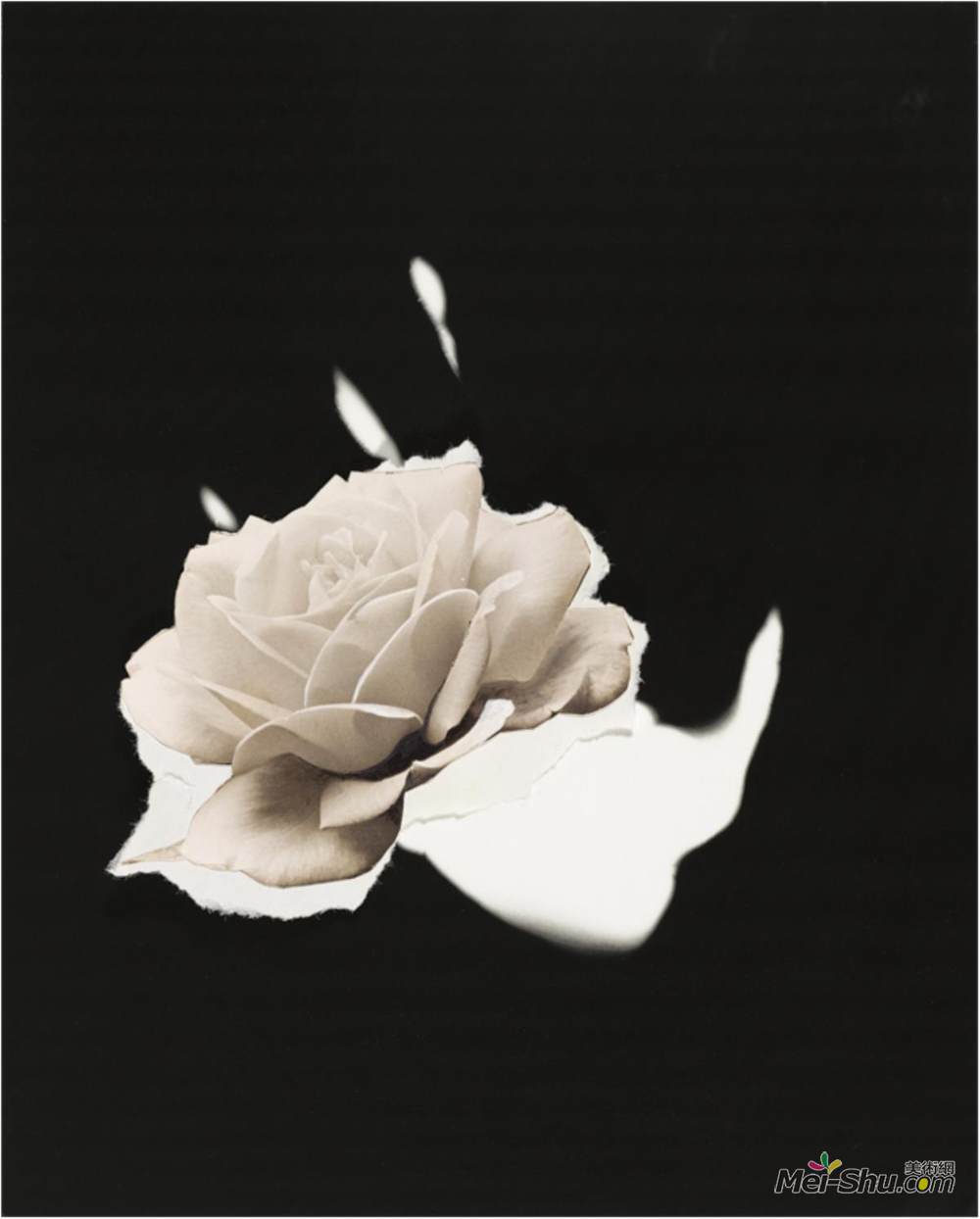 杰伊·德费奥(Jay DeFeo)高清作品《无题》