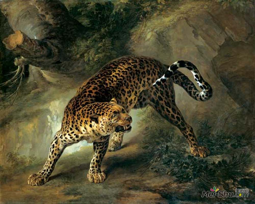 让·巴普蒂斯特·乌德里(Jean-Baptiste Oudry)高清作品《豹》