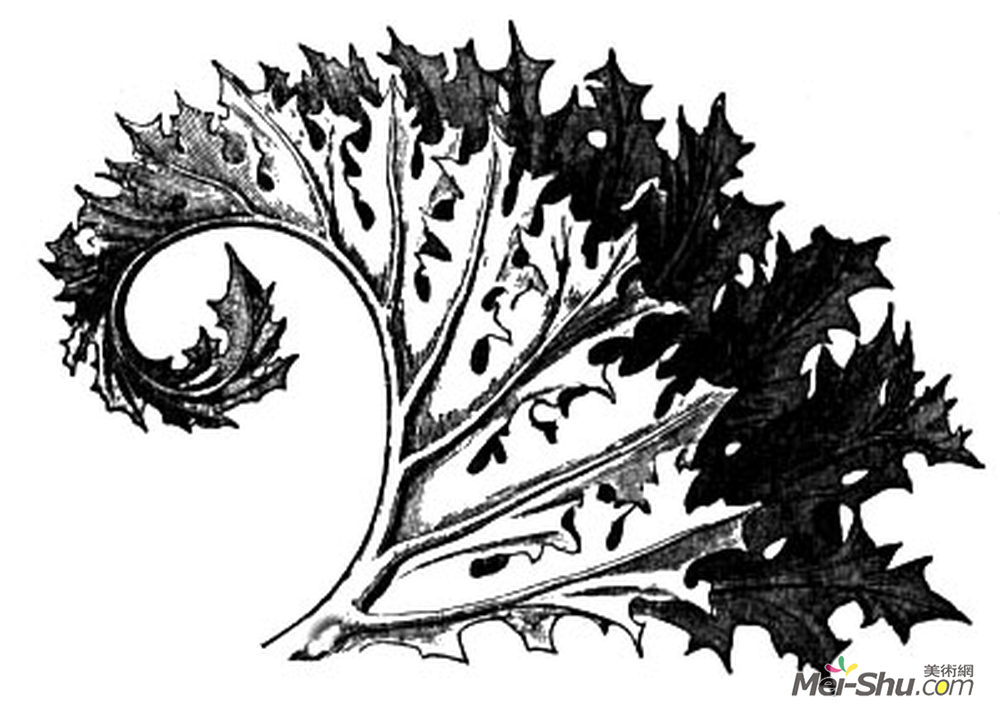 约翰·罗斯金(John Ruskin)高清作品《爵床》