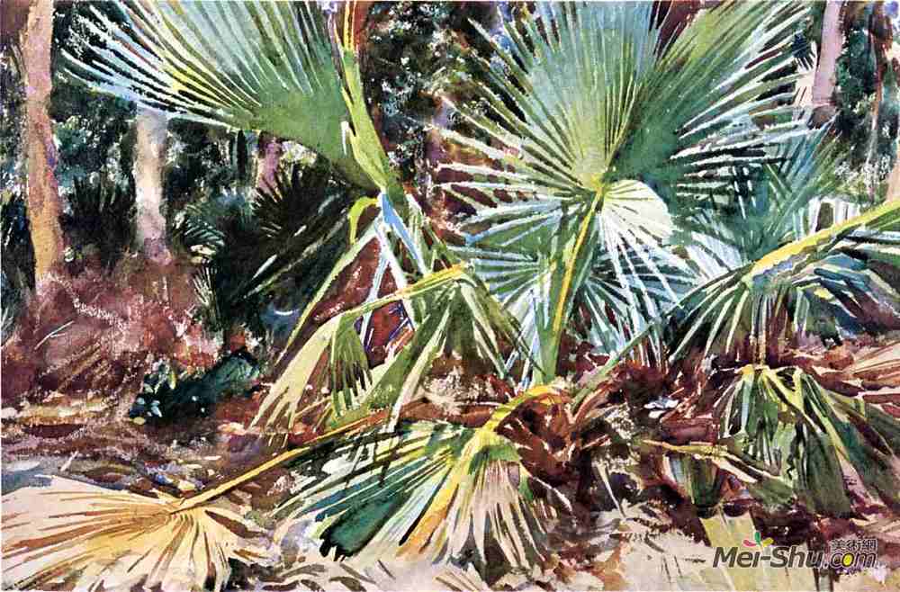 约翰·辛格·萨金特(John Singer Sargent)高清作品《Palmettos，佛罗里达州》